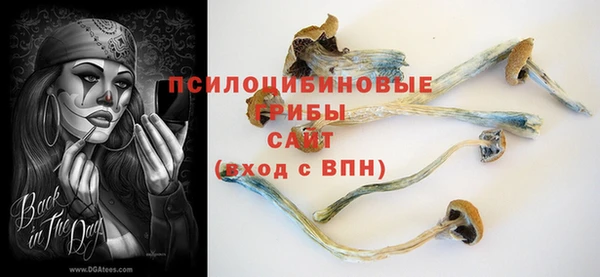первитин Нязепетровск