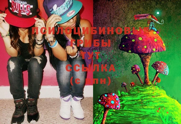 спайс Осинники