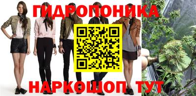 шишки Балашиха