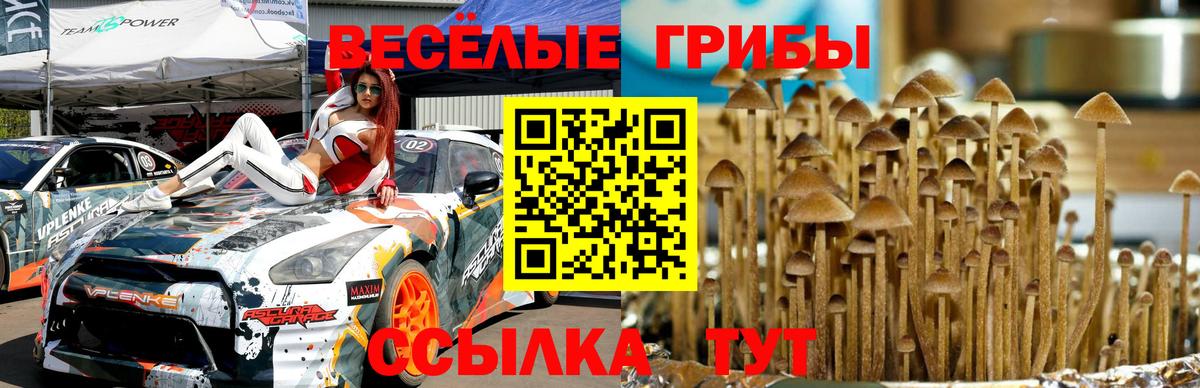 Псилоцибиновые грибы Cubensis  где найти   Прохладный  Вход с VPN 